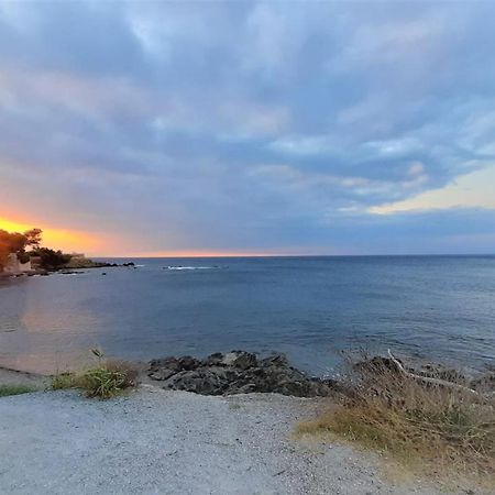 Charmant Appartement Vue Mer A 100M De La Plage. サン・エギュルフ エクステリア 写真